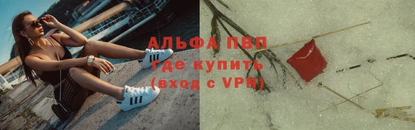 хмурый Арсеньев