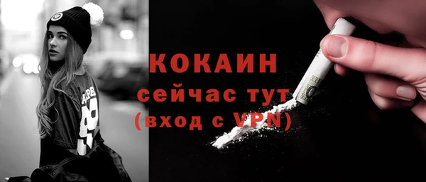 хмурый Арсеньев