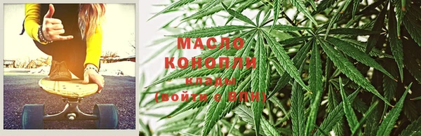 хмурый Арсеньев