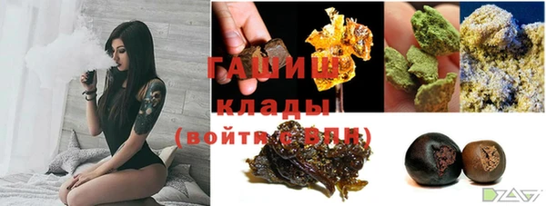 хмурый Арсеньев