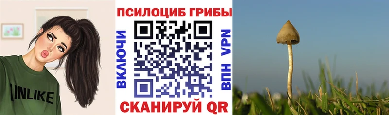 Галлюциногенные грибы MAGIC MUSHROOMS  Урус-Мартан 